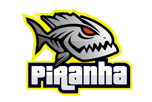 PIRANHA PROFESSIONAL RC COMPONENTS